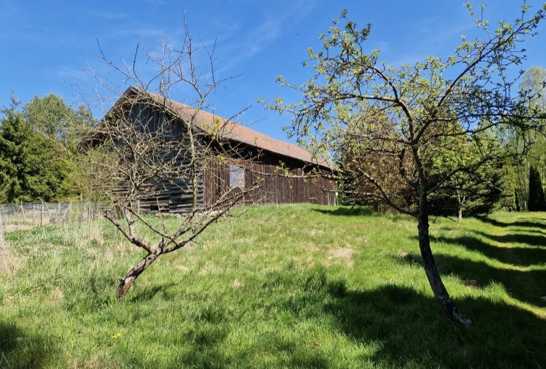 siedlisko, 6 pokoi Brąswałd. Zdjęcie 3