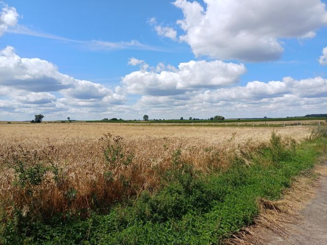 Działka budowlana Bielice, ul. Spokojna. Zdjęcie 1