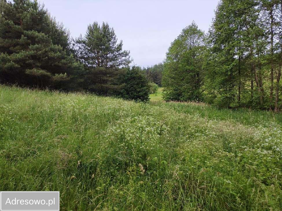 Działka rolna Rostki Skomackie. Zdjęcie 4