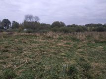 Działka rekreacyjna Kłodowo. Zdjęcie 3