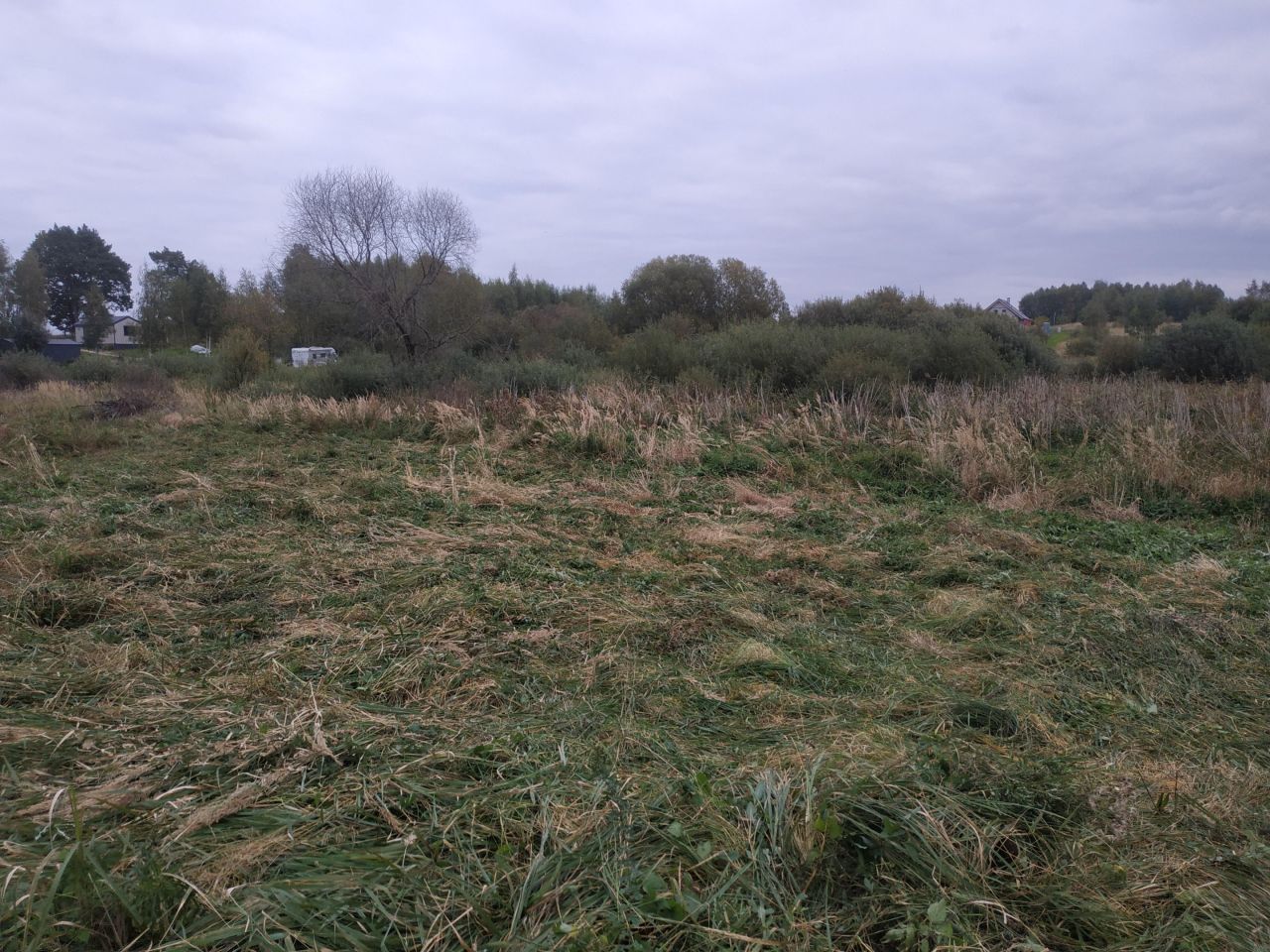 Działka rekreacyjna Kłodowo. Zdjęcie 4