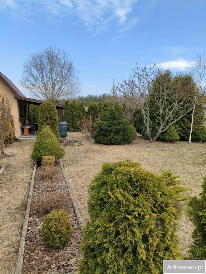 Działka rod Szczytno. Zdjęcie 5