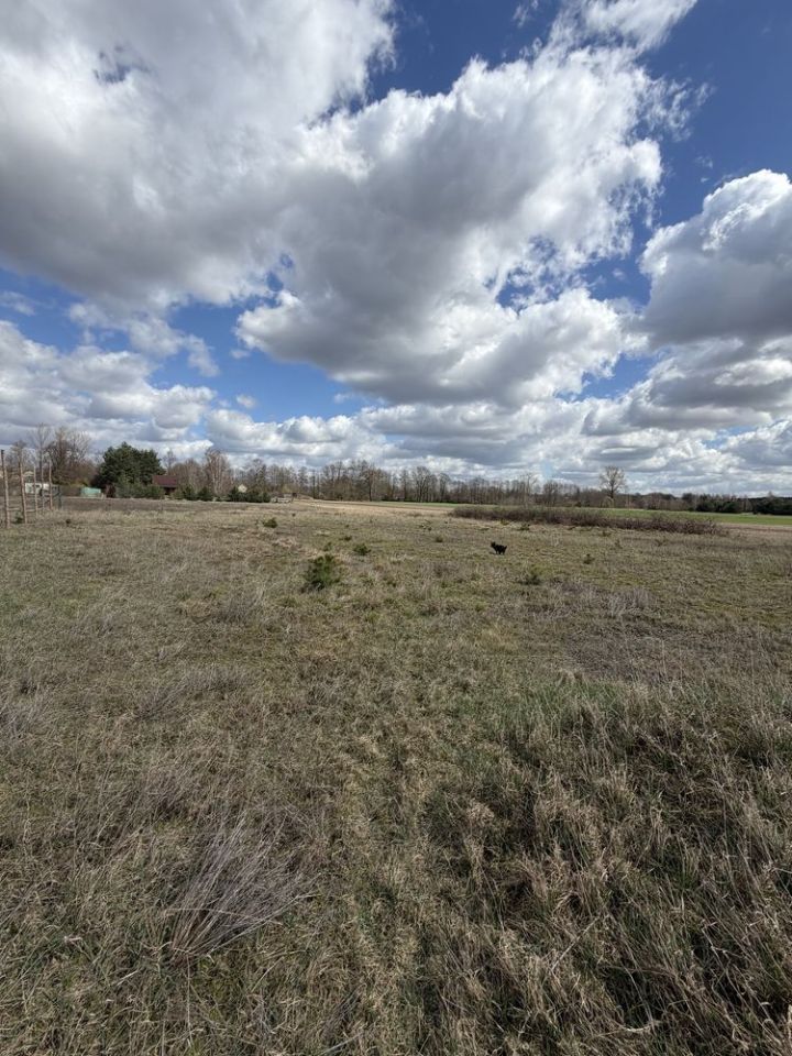 Działka budowlana Oleśnica. Zdjęcie 5