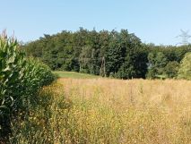 Działka siedliskowa Barłomino, ul. Sampowska. Zdjęcie 4