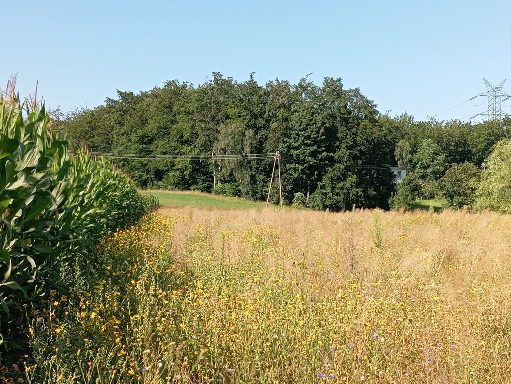 Działka siedliskowa Barłomino, ul. Sampowska. Zdjęcie 5