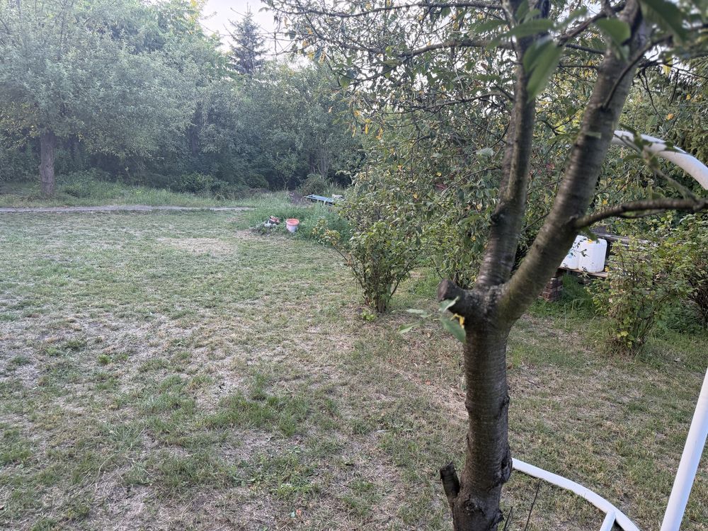Działka rod Wrocław Oporów. Zdjęcie 6
