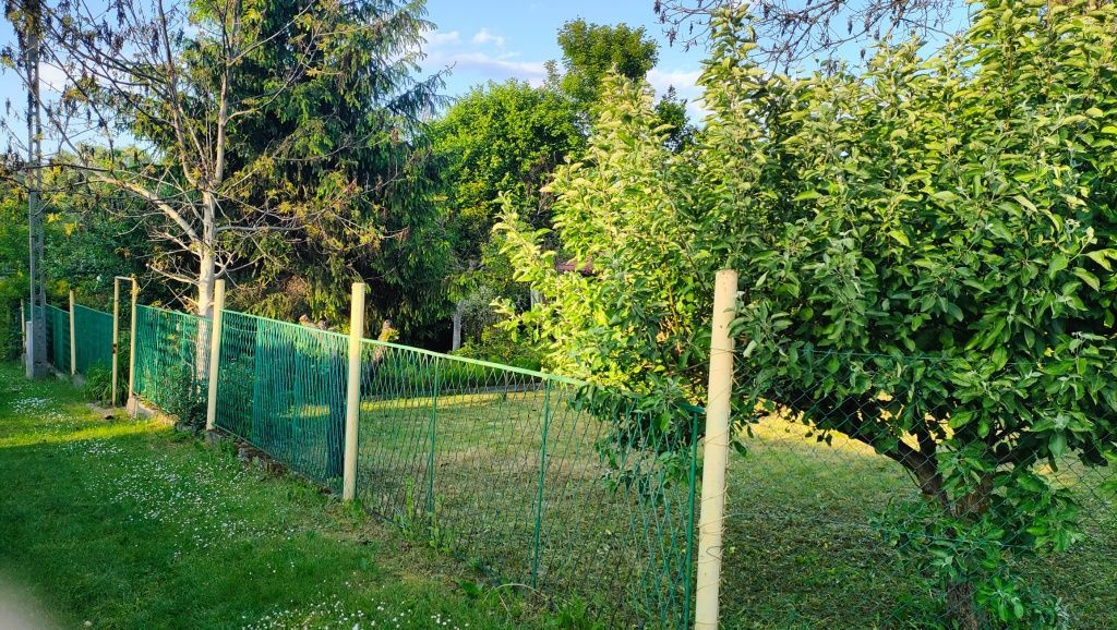 Działka rod Chorzów Maciejkowice. Zdjęcie 2