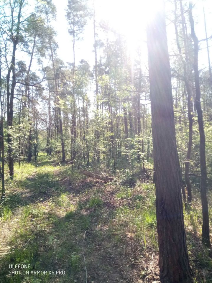 Działka leśna Adamów, ul. Rycerska. Zdjęcie 5