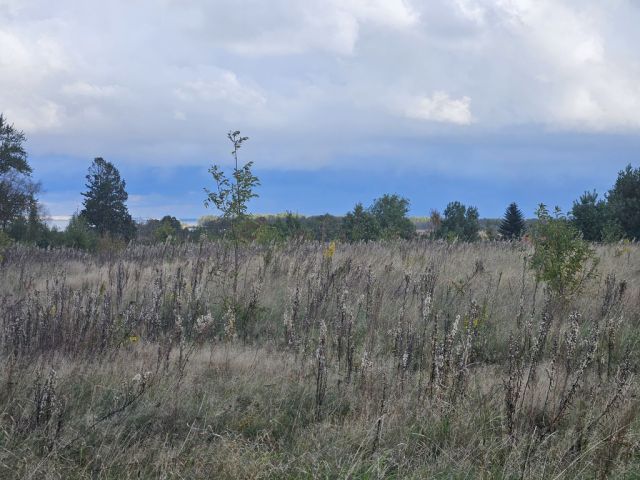 Działka budowlana Izbica. Zdjęcie 5