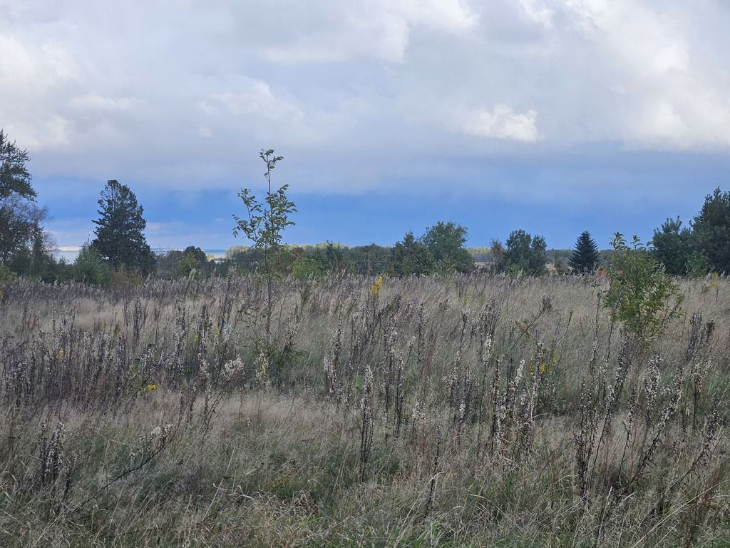 Działka budowlana Izbica. Zdjęcie 5