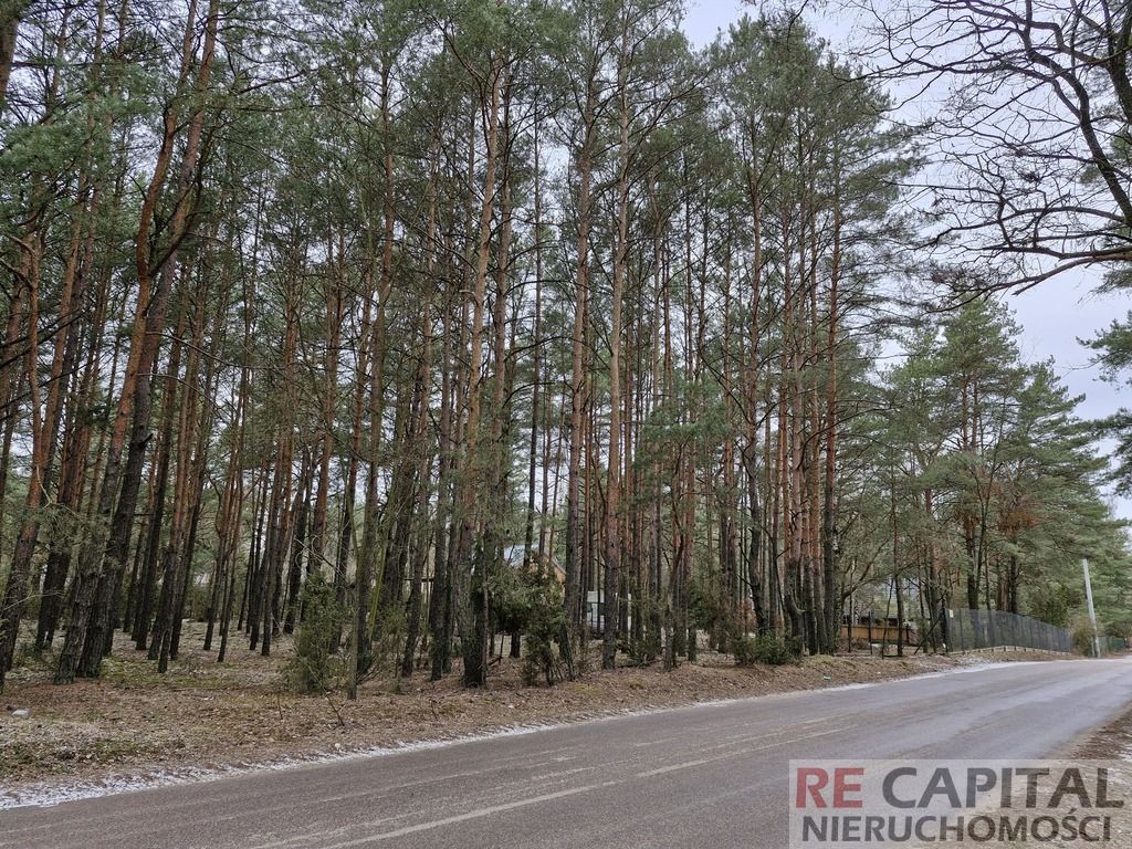 Działka leśna Wysychy, ul. Leśna. Zdjęcie 3