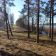 Działka rolna Zabrody, Zabrody. Zdjęcie 5