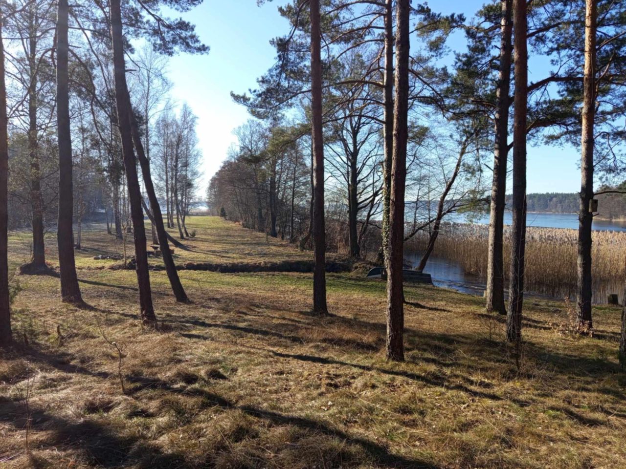 Działka rolna Zabrody. Zdjęcie 5