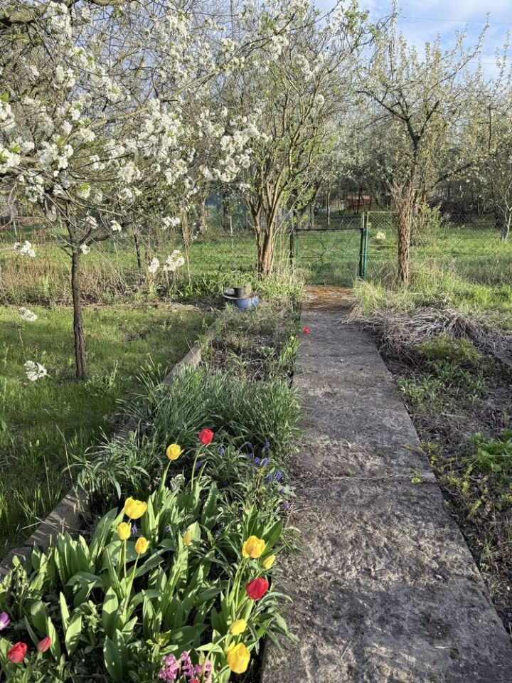 Działka rod Wrocław Fabryczna, ul. Klecińska. Zdjęcie 5