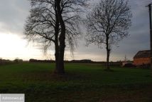 Działka siedliskowa Nowa Tuchorza. Zdjęcie 3