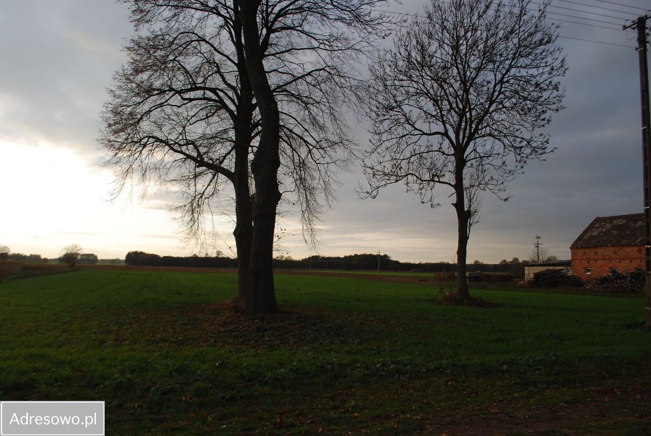 Działka siedliskowa Nowa Tuchorza. Zdjęcie 4