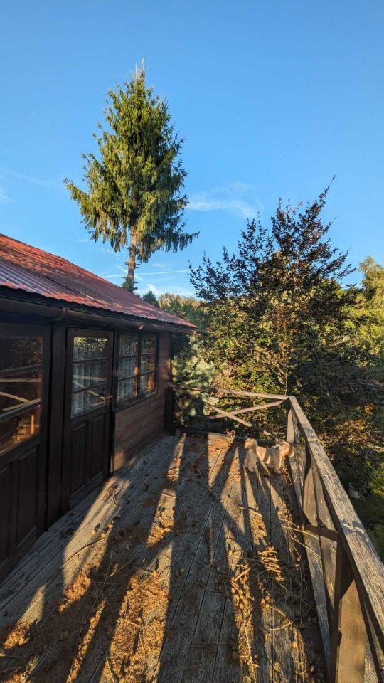 Działka rod Augustów. Zdjęcie 5