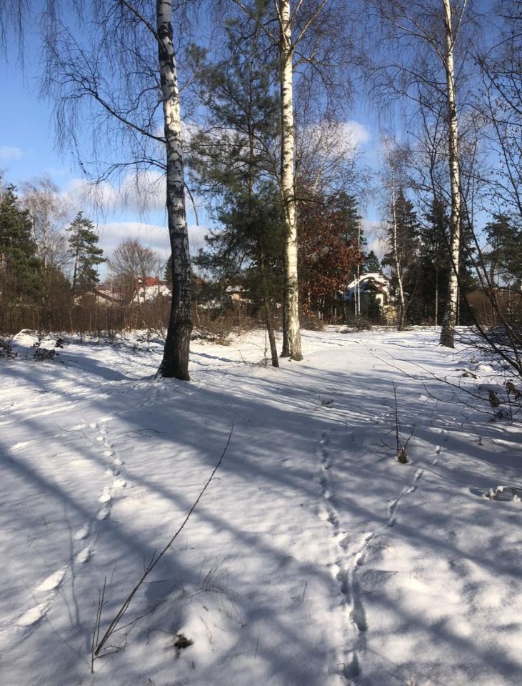 Działka inwestycyjna Ostrowiec Świętokrzyski Kolonia Piaski, ul. Grabowiecka