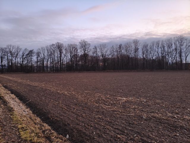 Działka rolno-budowlana Łąka Prudnicka. Zdjęcie 1