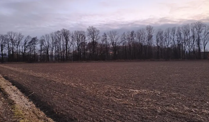 Działka rolno-budowlana Łąka Prudnicka