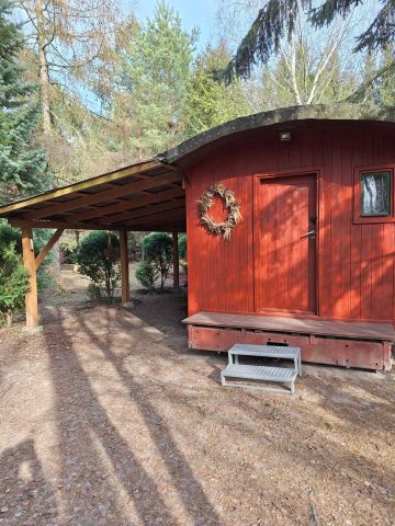 Działka rolno-budowlana Wytyczno. Zdjęcie 1