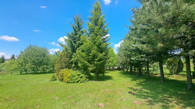 Działka budowlana Januszowice. Zdjęcie 1