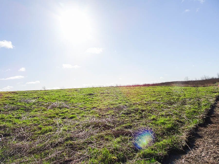 Działka budowlana Dobra, ul. Graniczna. Zdjęcie 5