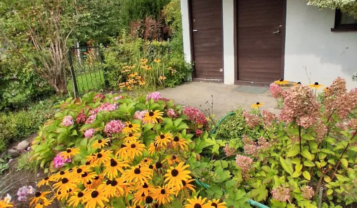 Działka rod Lubin Przylesie