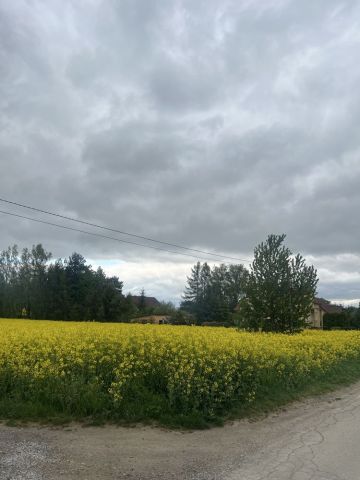 Działka budowlana Tomaszówka. Zdjęcie 1