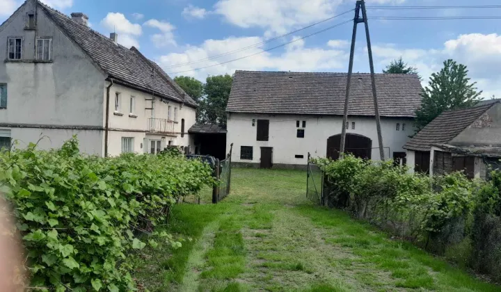 gospodarstwo, 6 pokoi Warta Bolesławiecka