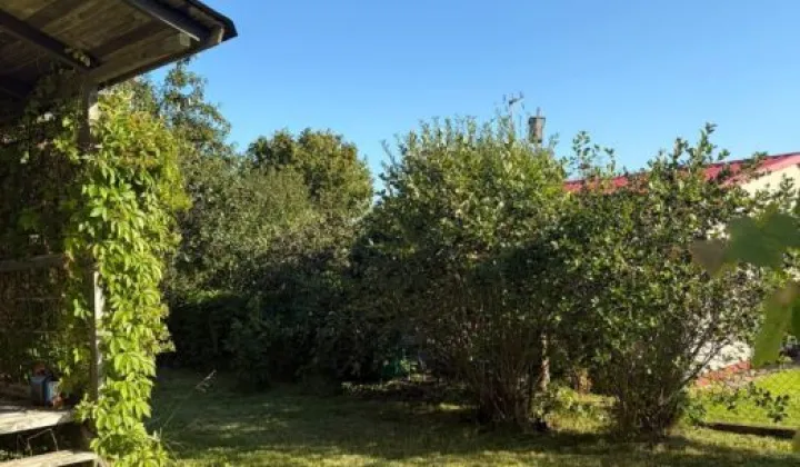 Działka rod Gdańsk Rębiechowo, ul. Nowatorów