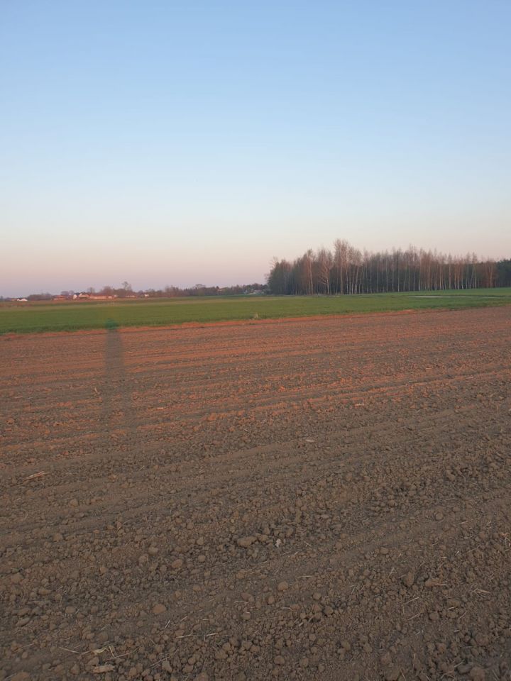 Działka budowlana Górki. Zdjęcie 5