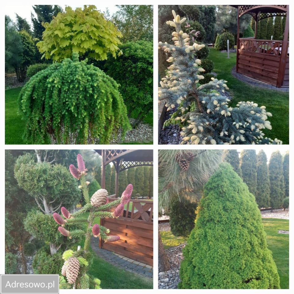 dom wolnostojący, 5 pokoi Radziejów. Zdjęcie 8