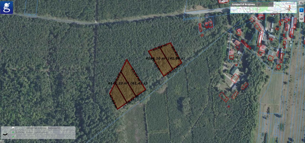 Działka leśna Czarniecka Góra. Zdjęcie 4