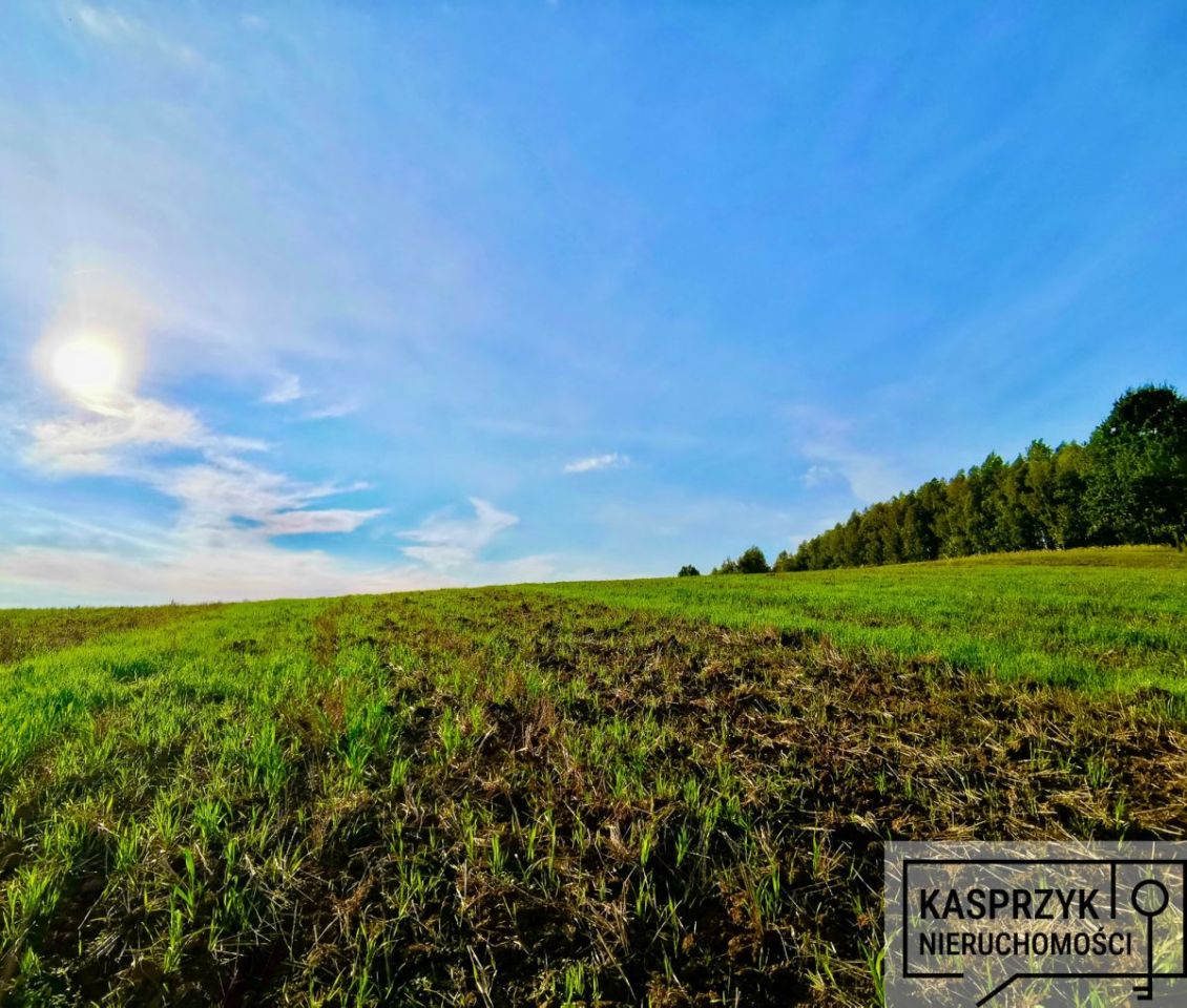 dom wolnostojący, 5 pokoi Kombornia. Zdjęcie 23