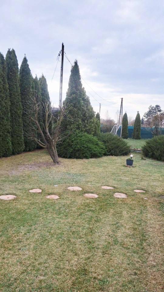 Działka rod Pińczów. Zdjęcie 2