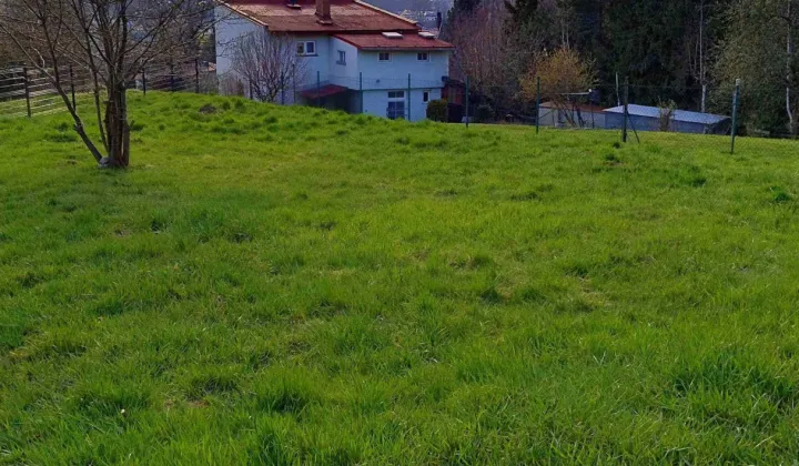 Działka rod Żywiec, ul. Góra Burgałowska