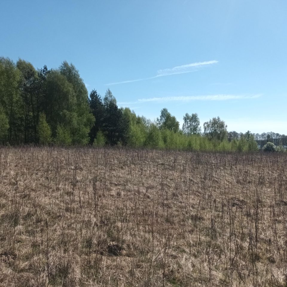 Działka budowlana Grąbczyn. Zdjęcie 7