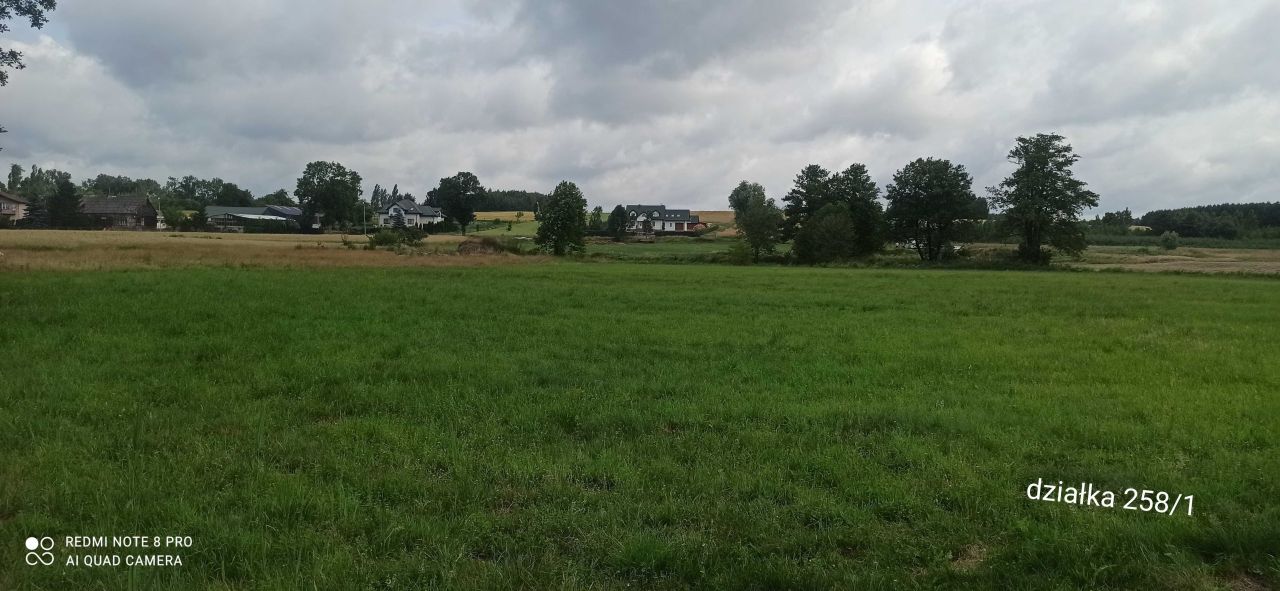 Działka rekreacyjna Stary Ciepielów. Zdjęcie 8
