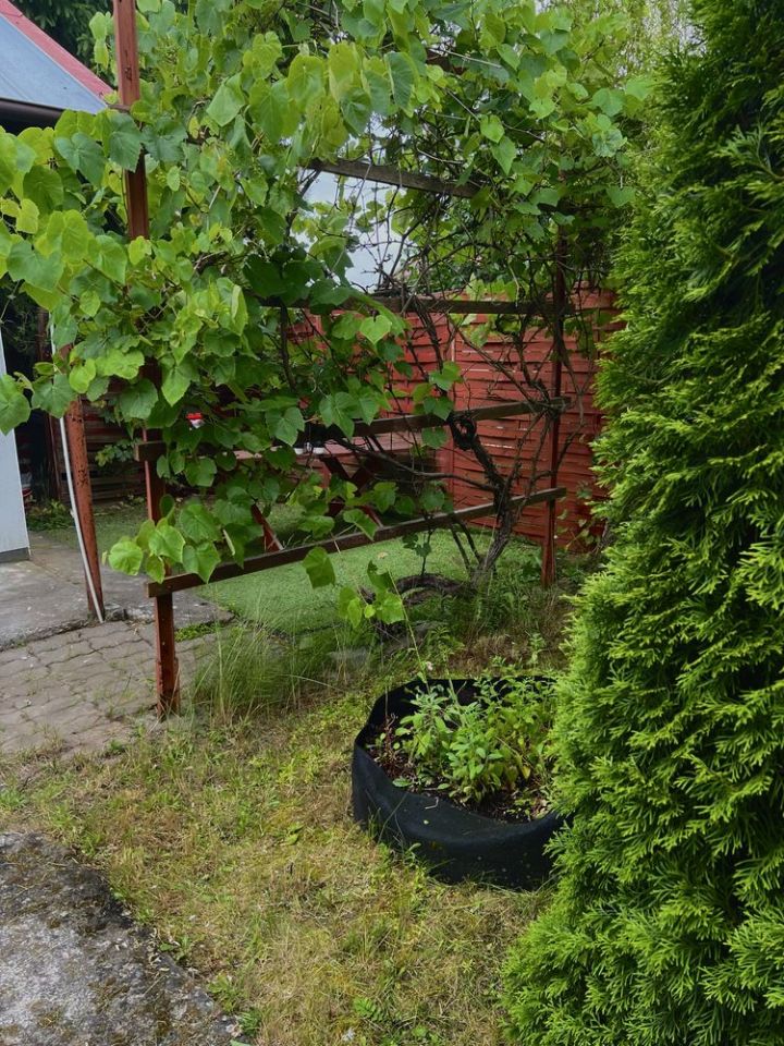 Działka rod Strzelce Krajeńskie. Zdjęcie 3