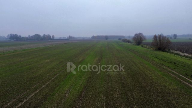 Działka budowlana Drewnica, ul. Wierzbowa. Zdjęcie 10