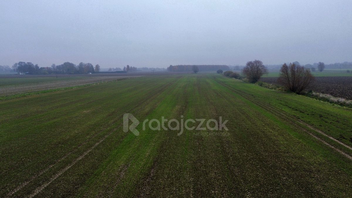 Działka budowlana Drewnica, ul. Wierzbowa. Zdjęcie 10