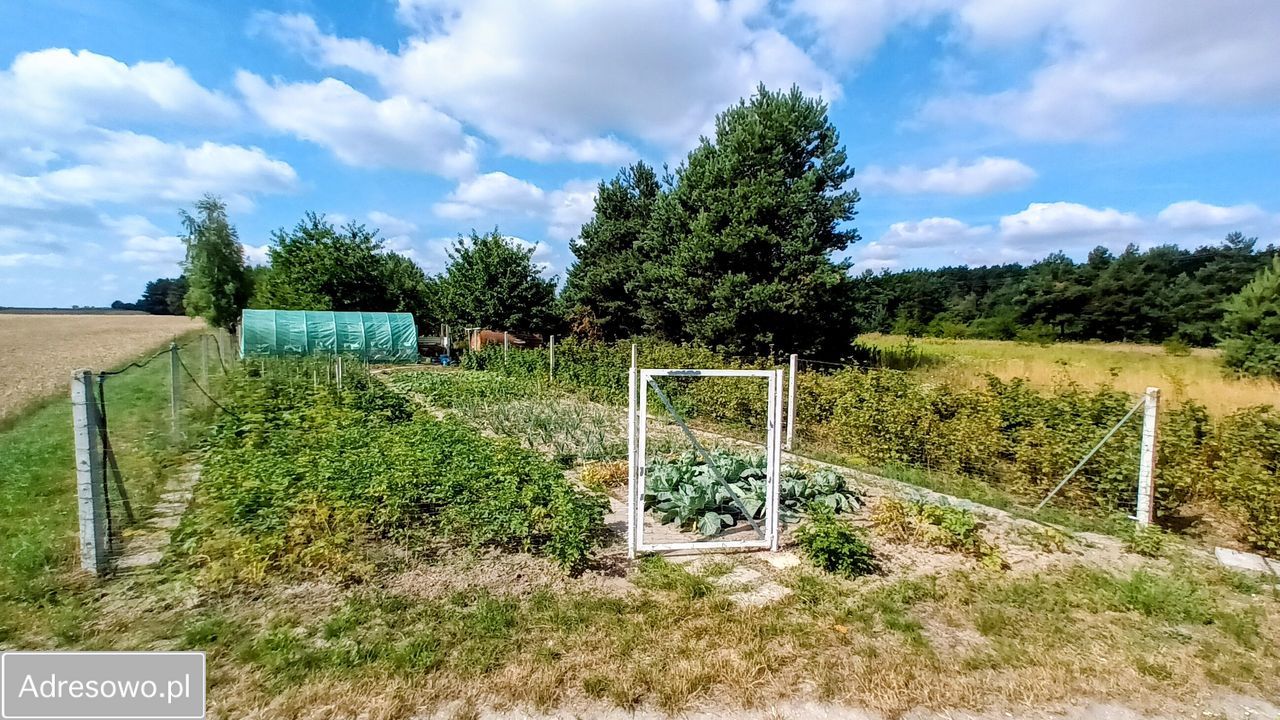 dom wolnostojący, 6 pokoi Ciepielów, ul. Sandomierska. Zdjęcie 11