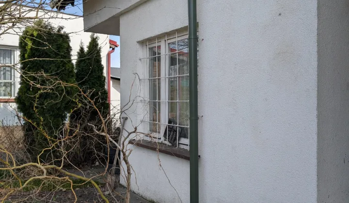 Działka rod Grudziądz Centrum, ul. Kochanowskiego