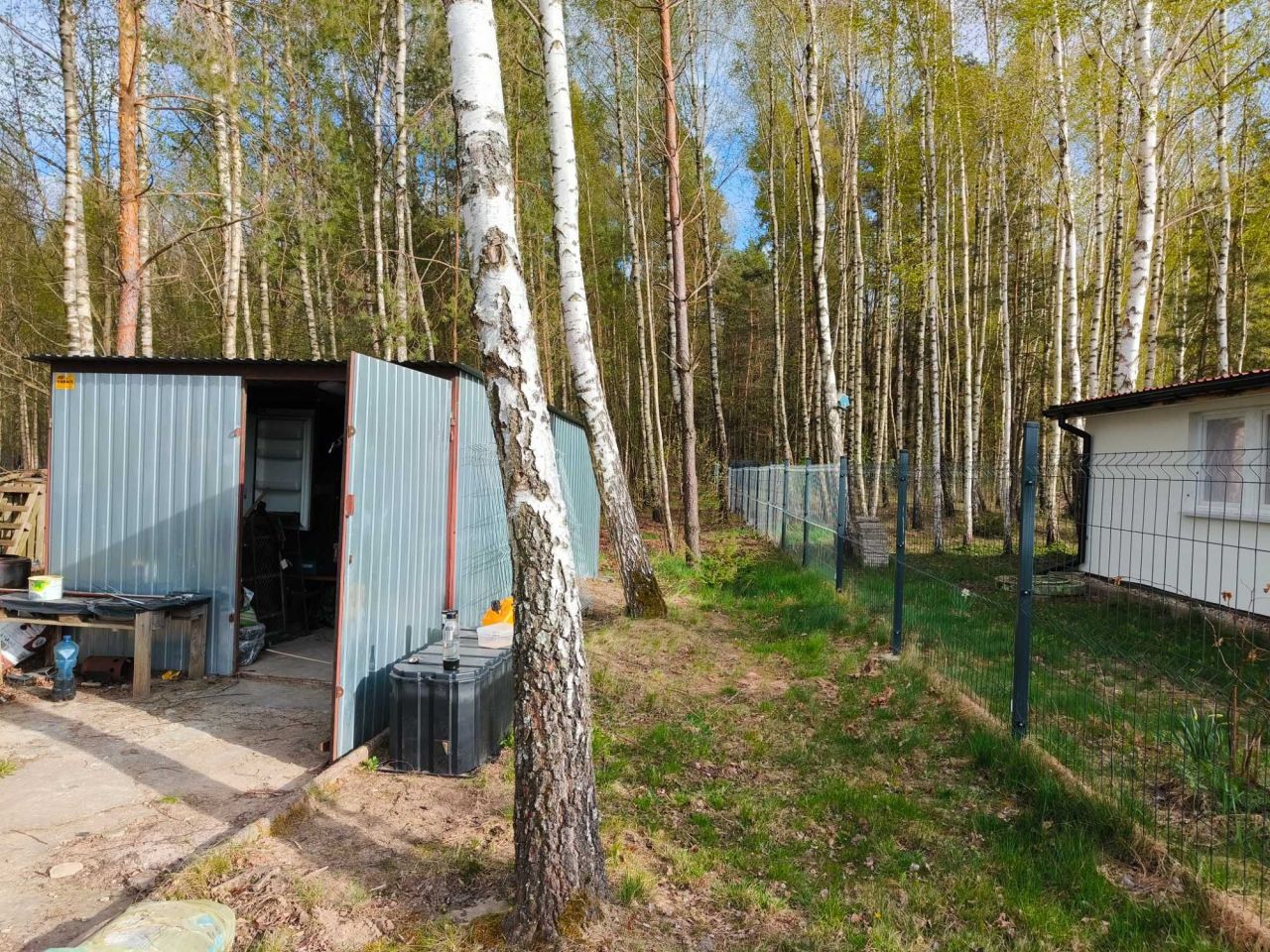 Działka rolna Laski Wielkie. Zdjęcie 7