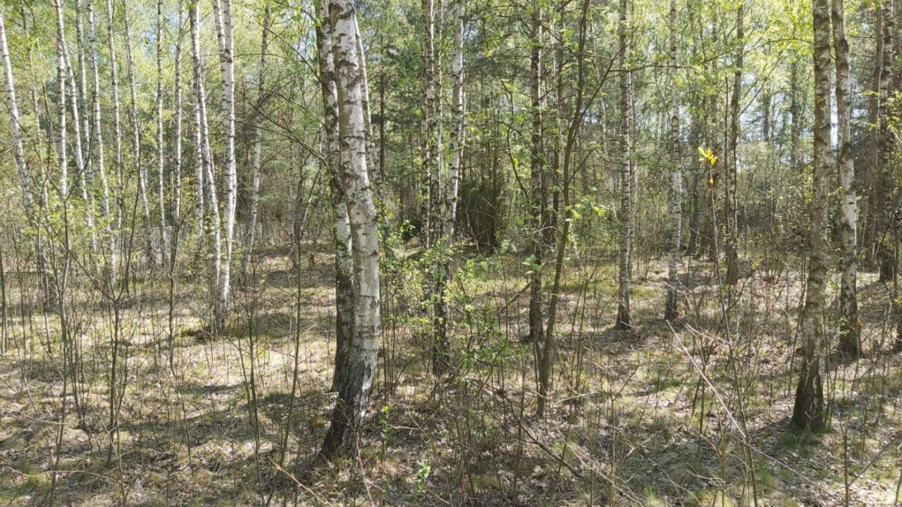 Działka budowlana Łosie, ul. Piotrusia Pana. Zdjęcie 2