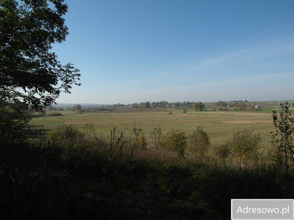 siedlisko Grabowiec-Góra. Zdjęcie 10