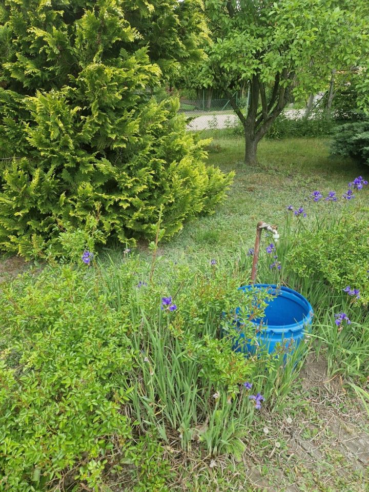 Działka rod Poznań, ul. Bukowska. Zdjęcie 5