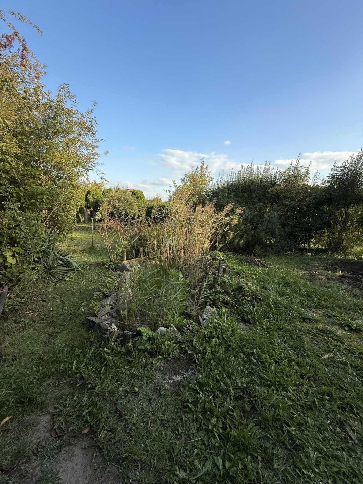 Działka rod Bełchatów. Zdjęcie 5