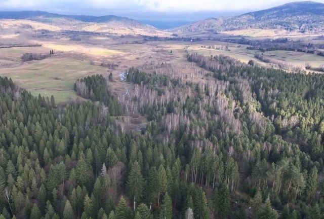 Działka rolna Czarna. Zdjęcie 4